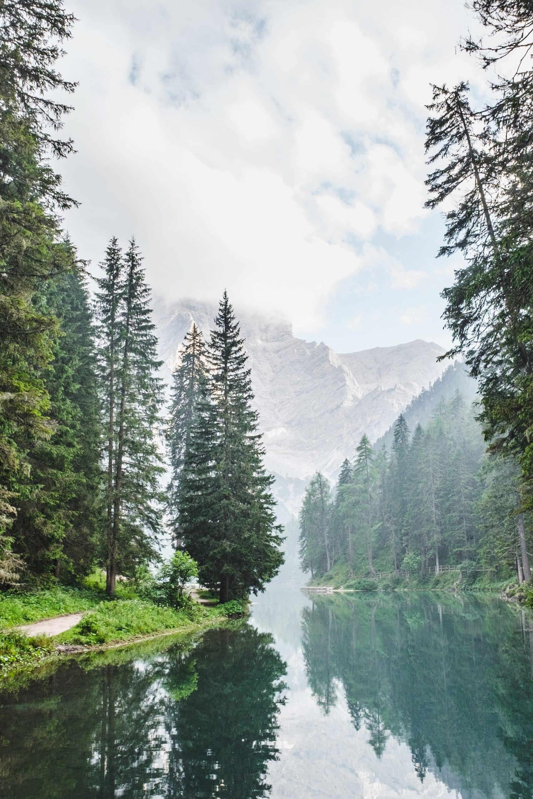 Evergreen blog content: what it is, why you need it and how to create it